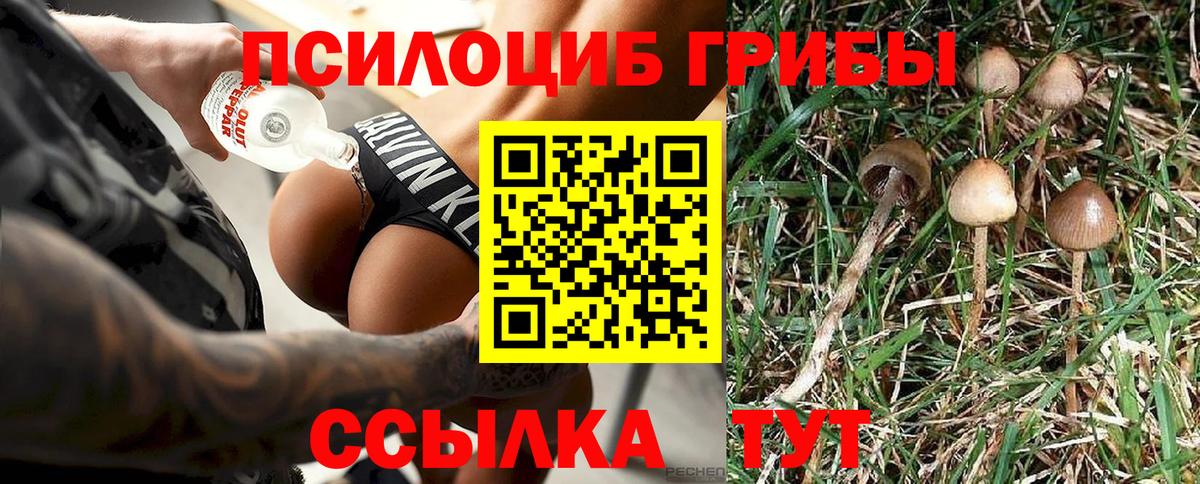 Менделеевск  Псилоцибиновые грибы мухоморы  Вход с VPN  Псилоцибиновые грибы прущие грибы 